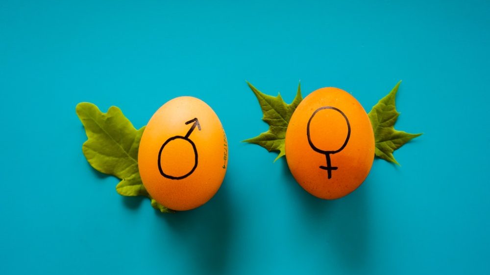 Gender Reveal Ideeën &#038; Versiering